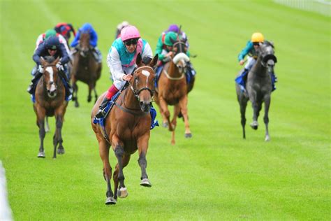 irish horse racing results